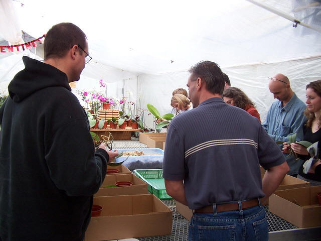 A seminar in progress