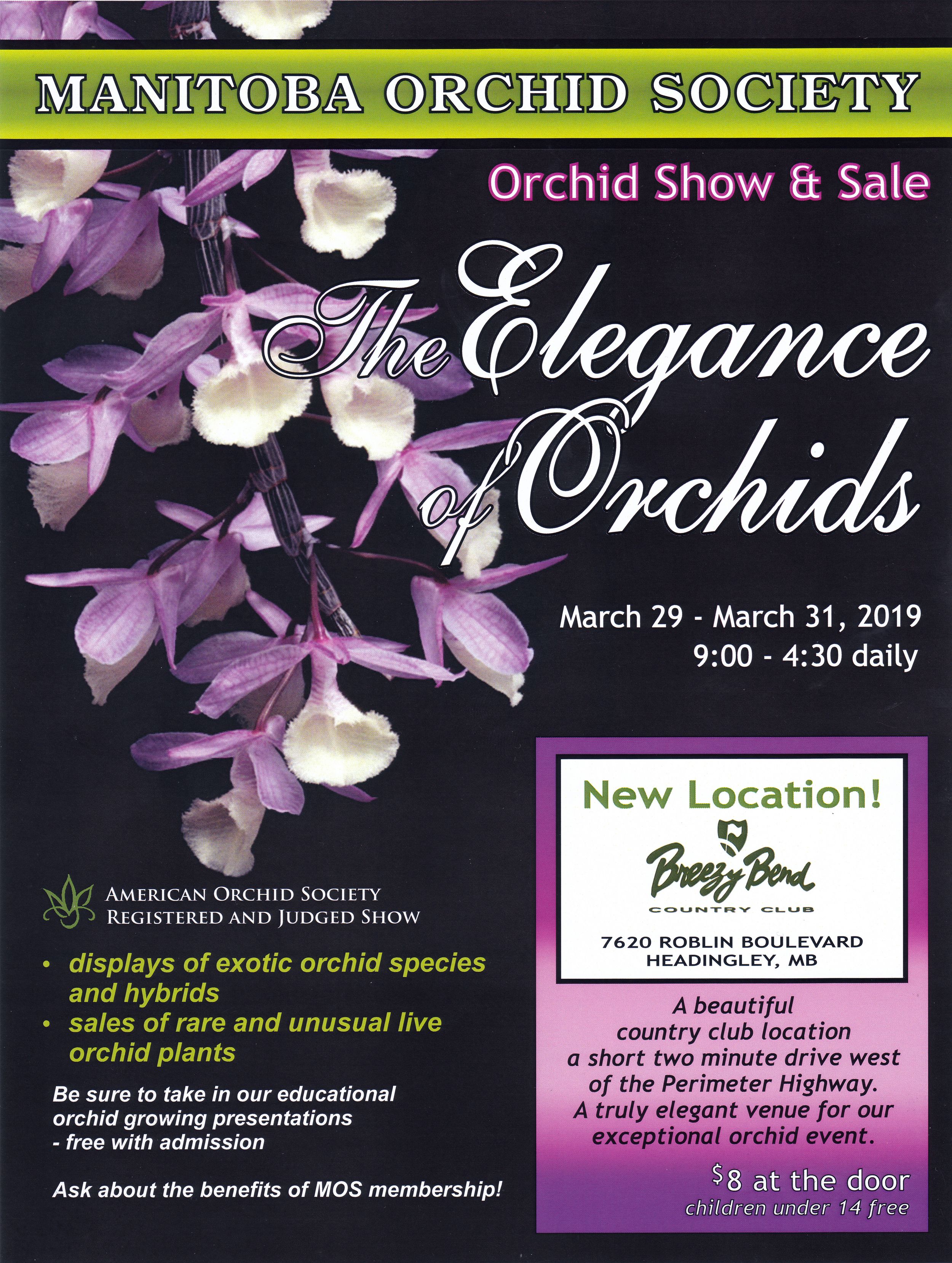 EverSpring Orchids Winnipeg_Gift Orchids